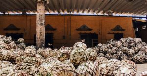 additives in tequila