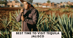 Best Time to Visit Tequila Jalisco