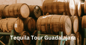 Tequila Tour Guadalajara
